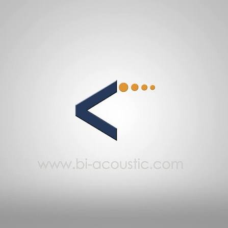 Bi-Acoustic